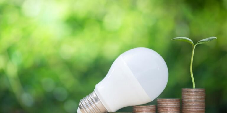 Construcción eficiente: ingeniería y ahorro energético en edificios